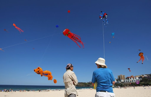 Festival Of The Winds Sydney Kite Festival Amusing Planet festival-of-the-winds-sydney-kite-festival-amusing-planet